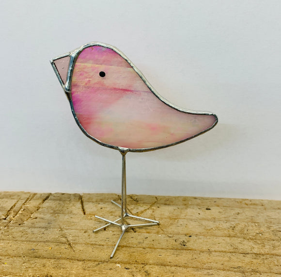 Pink Iridescent Chick With Pink Beak