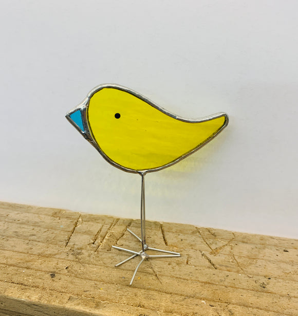 Yellow Chick With Blue Beak