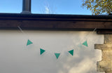 Jade Green Bunting