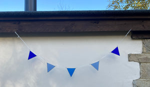 Blue Bunting (1)